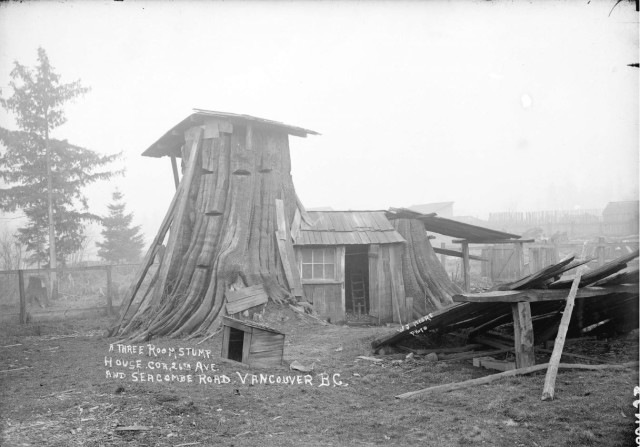 Tree Stump House 1900s, now 4230 Prince Edward Street in Mount Pleasant