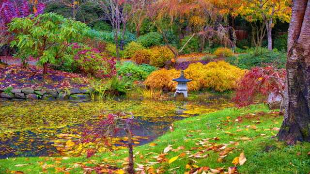 The Japanese Garden at Mayne Island.