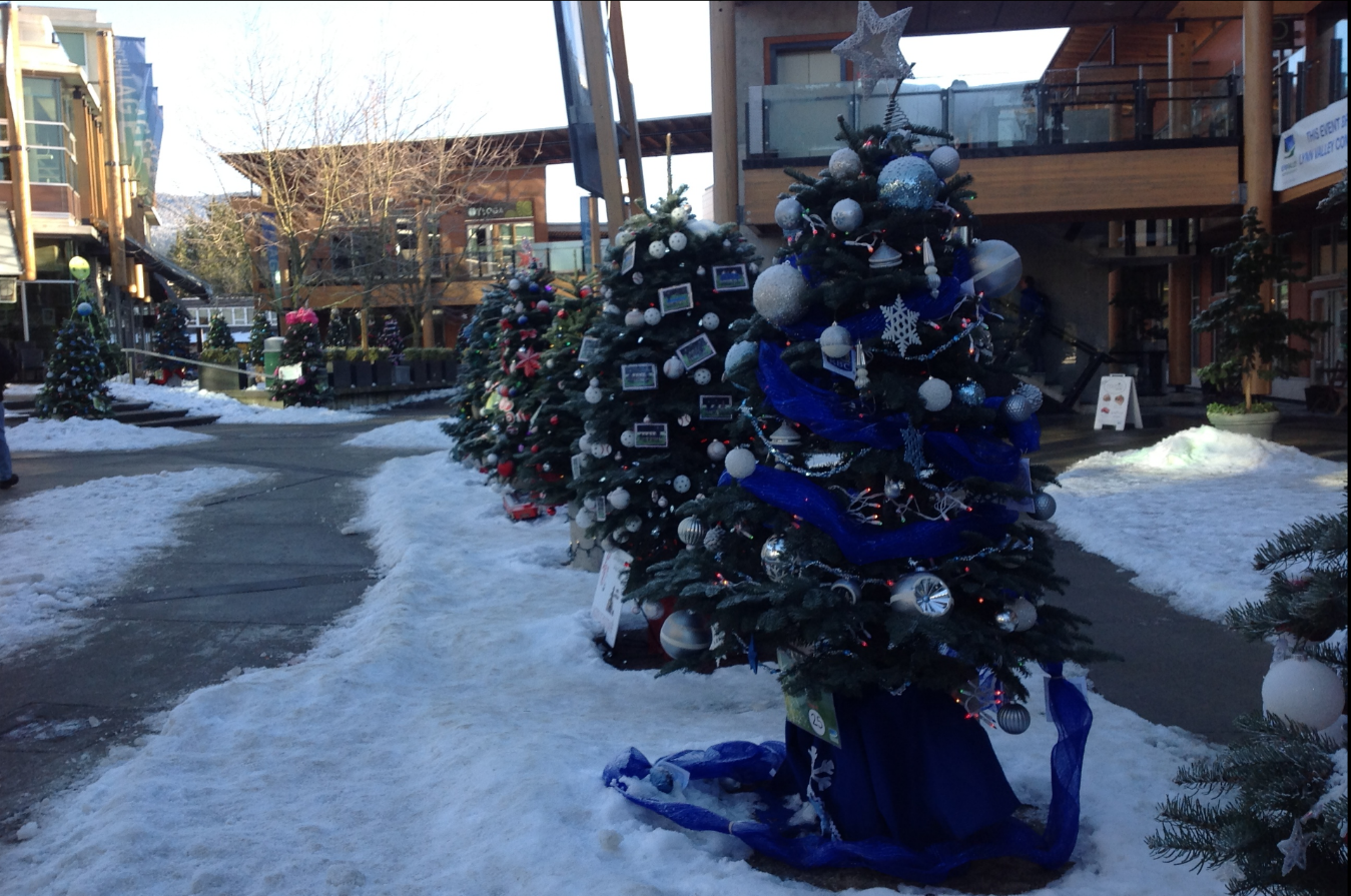 Enjoy the Christmas tree display in the Village as long as you don't park outside