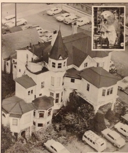 The Wilson mansion at 730 Burdett Avenue, Victoria