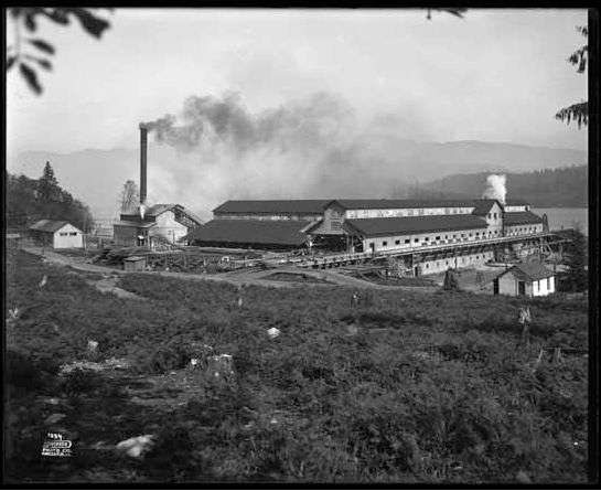 Robert Dollar Sawmill 1918