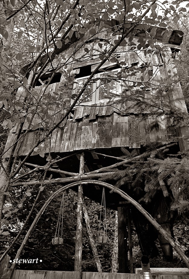 Dewdney Trunk Road Pleasure Faire, Mission, BC