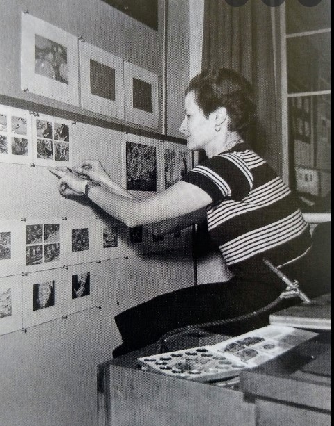 Sylvia Holland 1940s