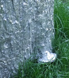 Sculpture by Cheryl Hamilon and Michael Vandermeer