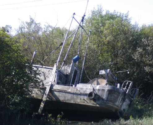 Finn Slough Eve Lazarus Photo