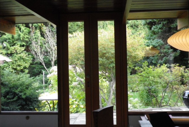 View from Ned Pratt's living room 