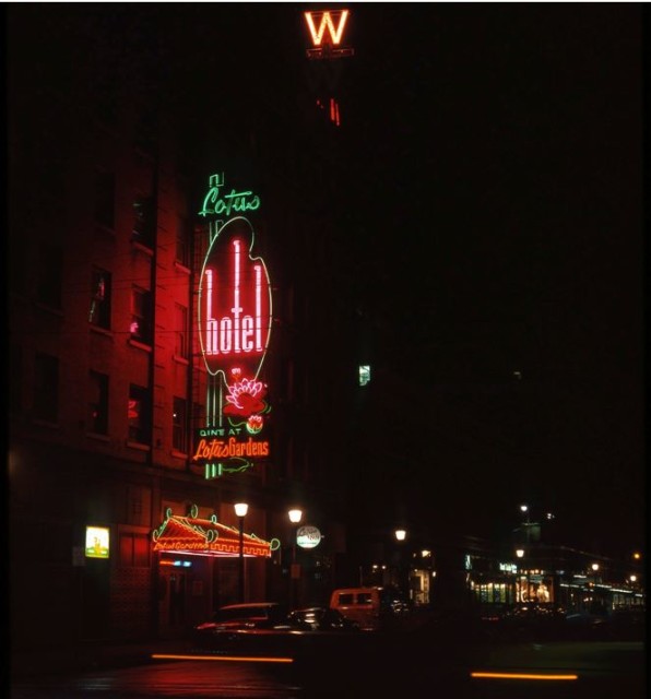 Angus McIntyre, 1974