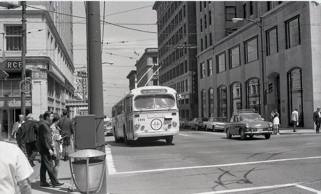 Angus McIntyre, 1969