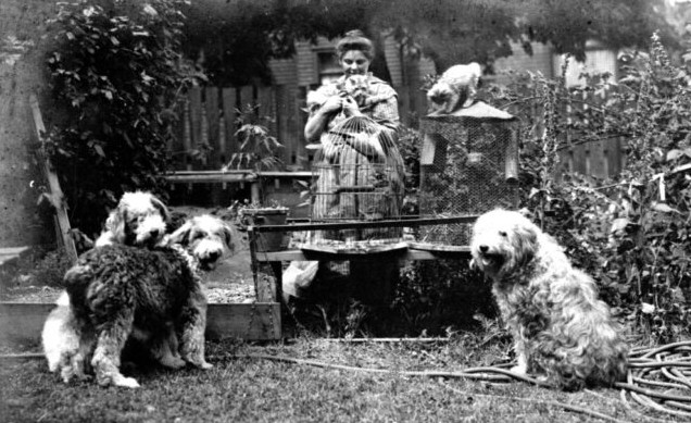 Sensational Victoria James Bay