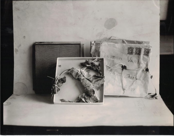 Blood, Sweat, and Fear: The Story of Inspector Vance