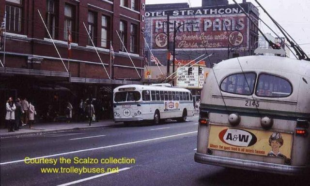 Margaret Cadwaladr photo