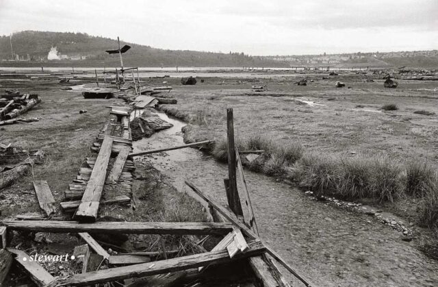 dollarton bruce stewart maplewood