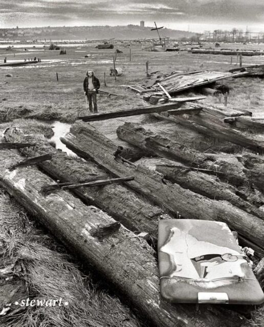 dollarton bruce stewart maplewood