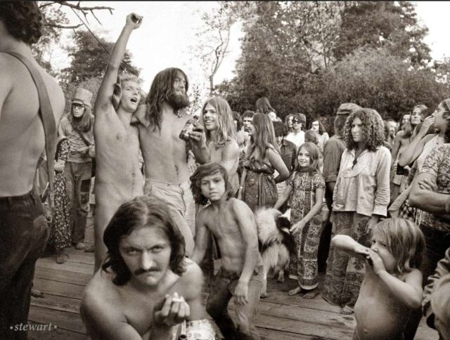 maplewood dollarton bruce stewart