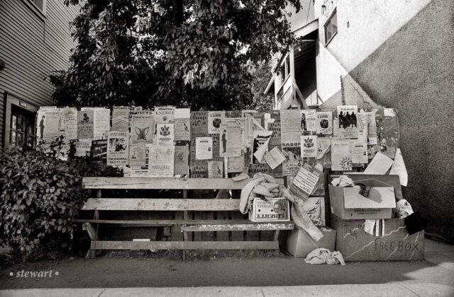 Bruce Stewart photo Kitsilano
