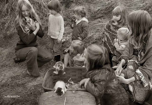 Mission Pleasure Faire Bruce Stewart