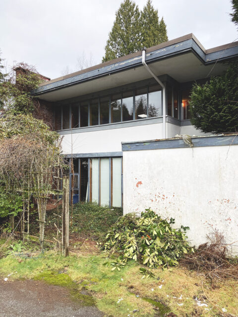 Shalal Gardens, Fred Hollingsworth 