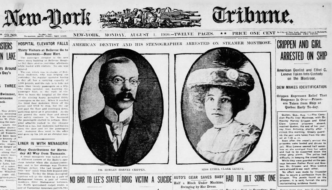 The London Cellar Murder