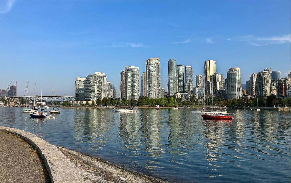 False Creek, 2025