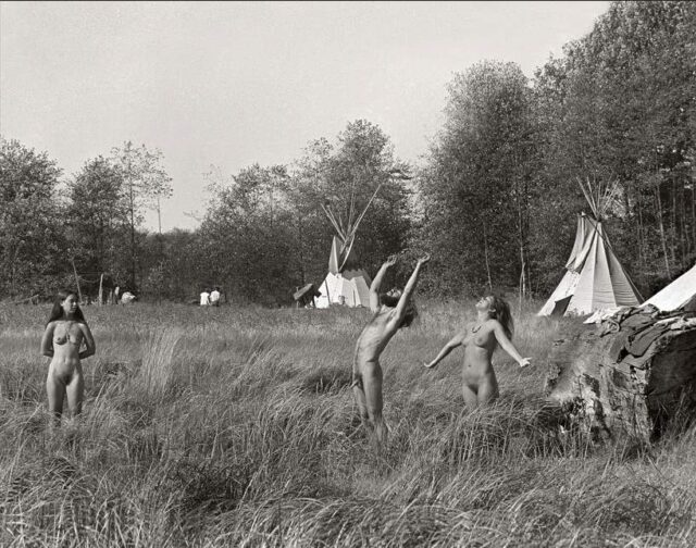 Dollarton Maplewood Bruce Stewart