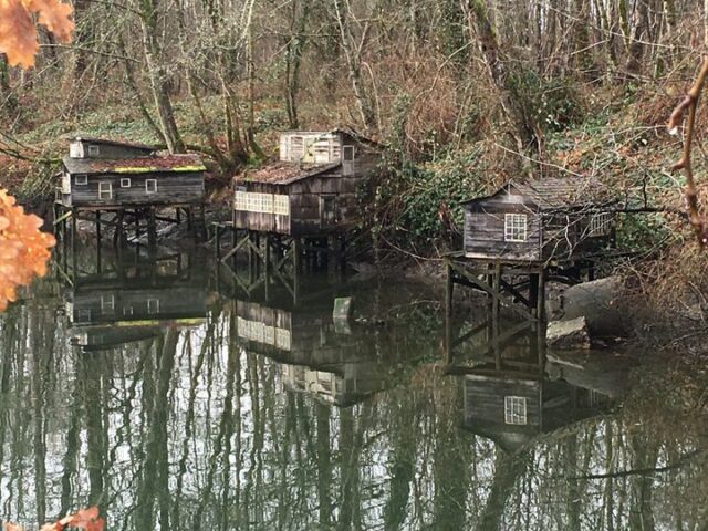 Maplewood mudflats dollarton 